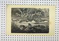 Original Old Antique Print C1850 Black Caimans River Crocodiles Birds Victorian