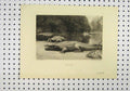 Original Old Antique Print C1898 Crocodile River Boat Country Swan Electric