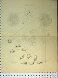 Original Old Antique Print Painting Outline Compositions C1890 Prismatic Scale