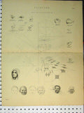Original Old Antique Print C1890 Painting Outline Expression Face Diagrams 19th