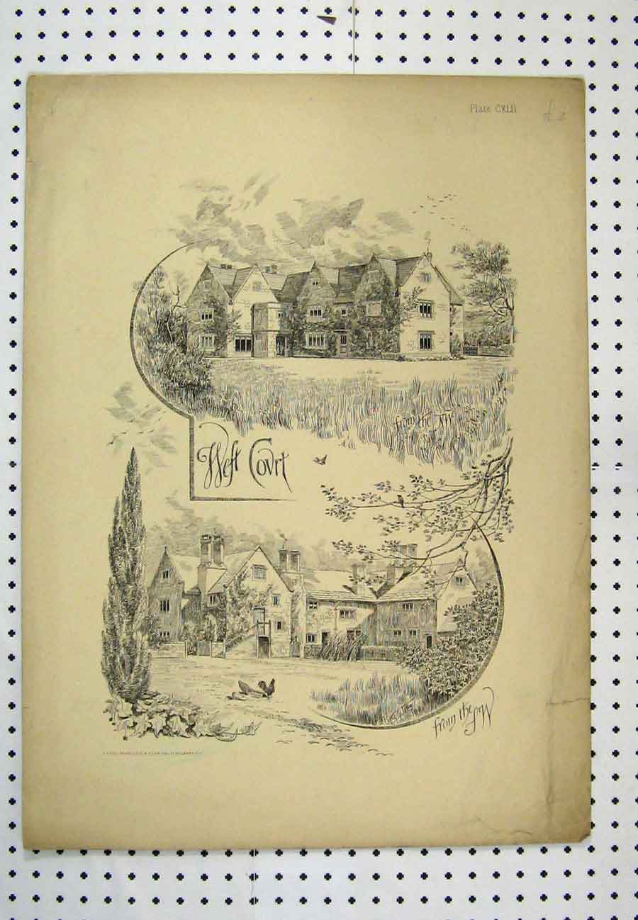 Original Old Antique Print C1880 Country Scene Buildings Chicken 19th