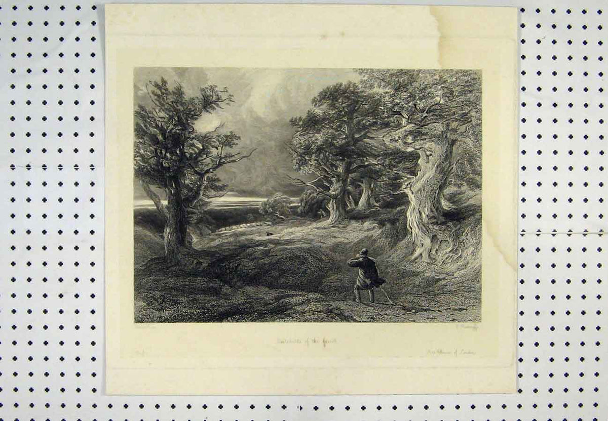 Original Old Antique Print C1880 View Outskirts Forest Man Dog Trees Raddclyffe
