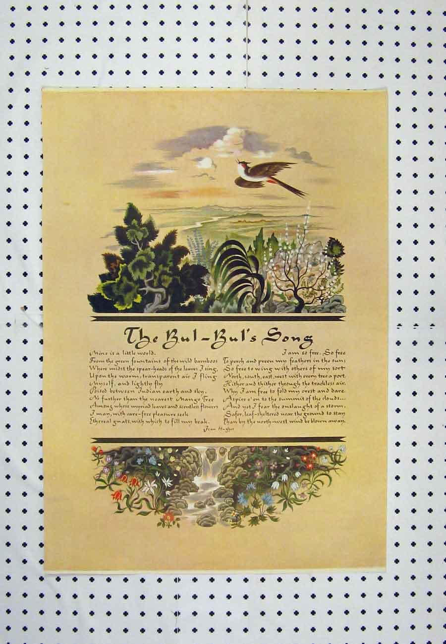 Original Old Antique Print C1880 Colour Bul-Bul'S Song Lyrics Bird Flowers 19th
