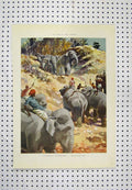 Original Old Antique Print C1880 India Elephants Men Country Rocks Colour 19th