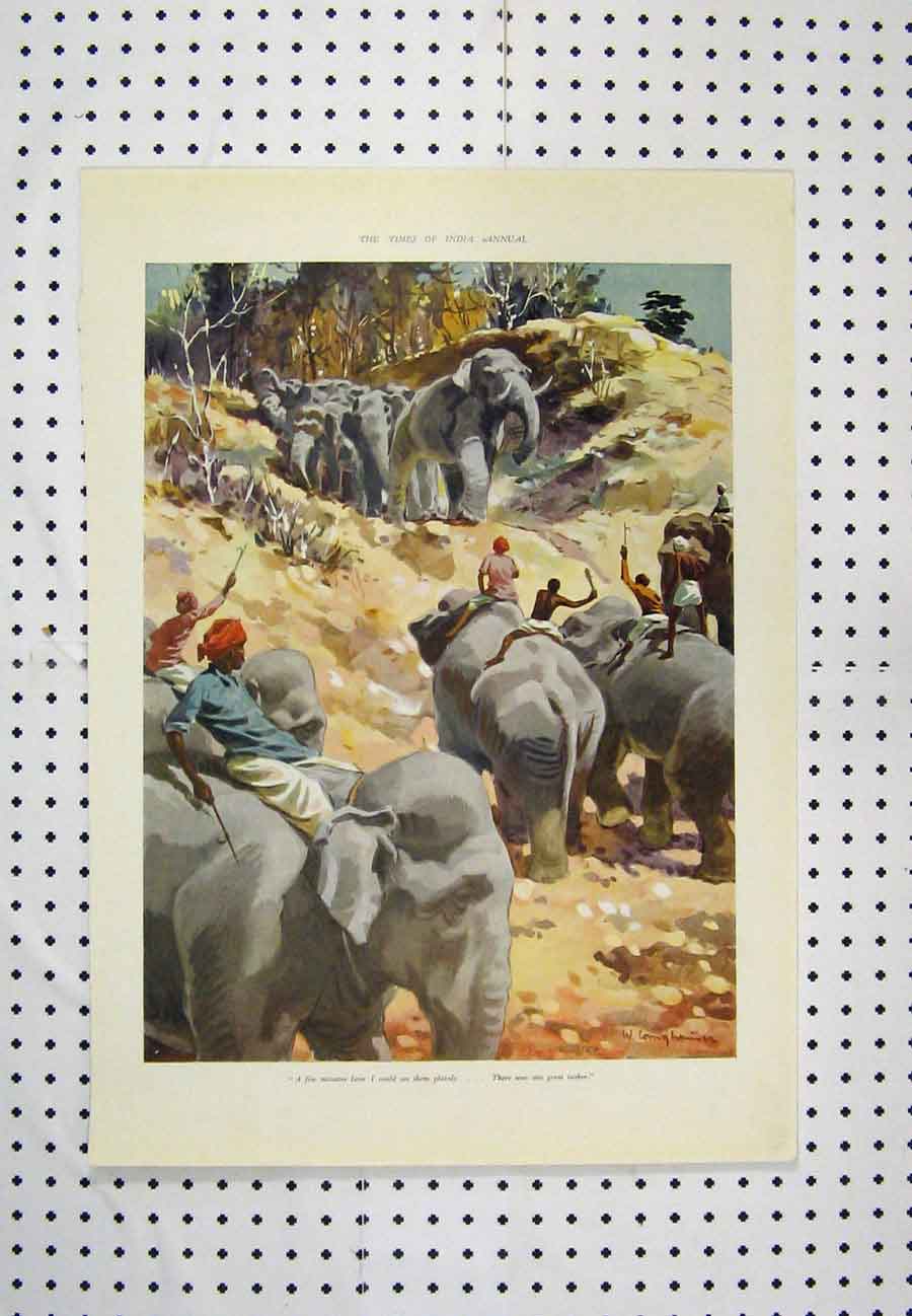 Original Old Antique Print C1880 India Elephants Men Country Rocks Colour 19th