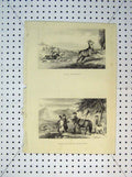 Original Old Antique Print Stag Hunting Deer Stalkers C1865 Men Horses Gun 19th