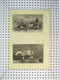 Original Old Antique Print Race Horses Exercise C1865 Resting Blanket Jockey