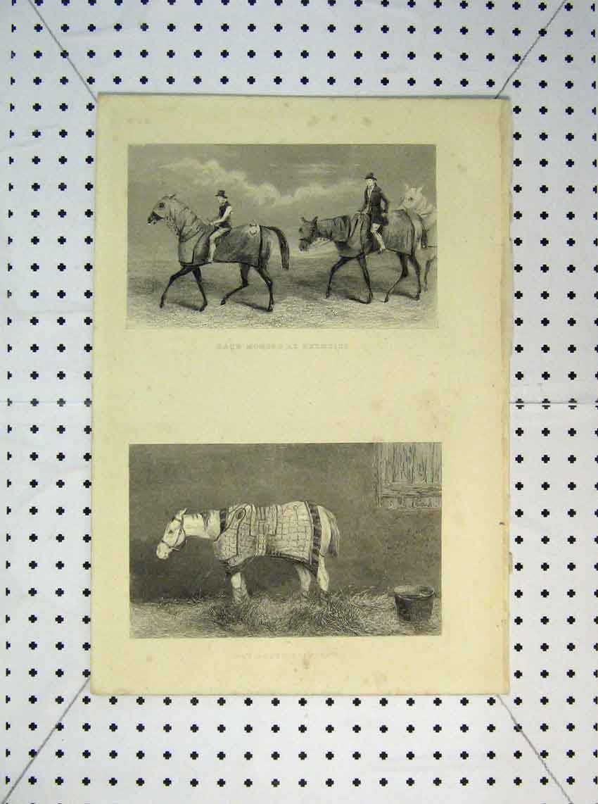 Original Old Antique Print Race Horses Exercise C1865 Resting Blanket Jockey