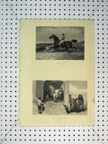 Original Old Antique Print C1865 Horse Trotting Race Van Jockey Transport 19th