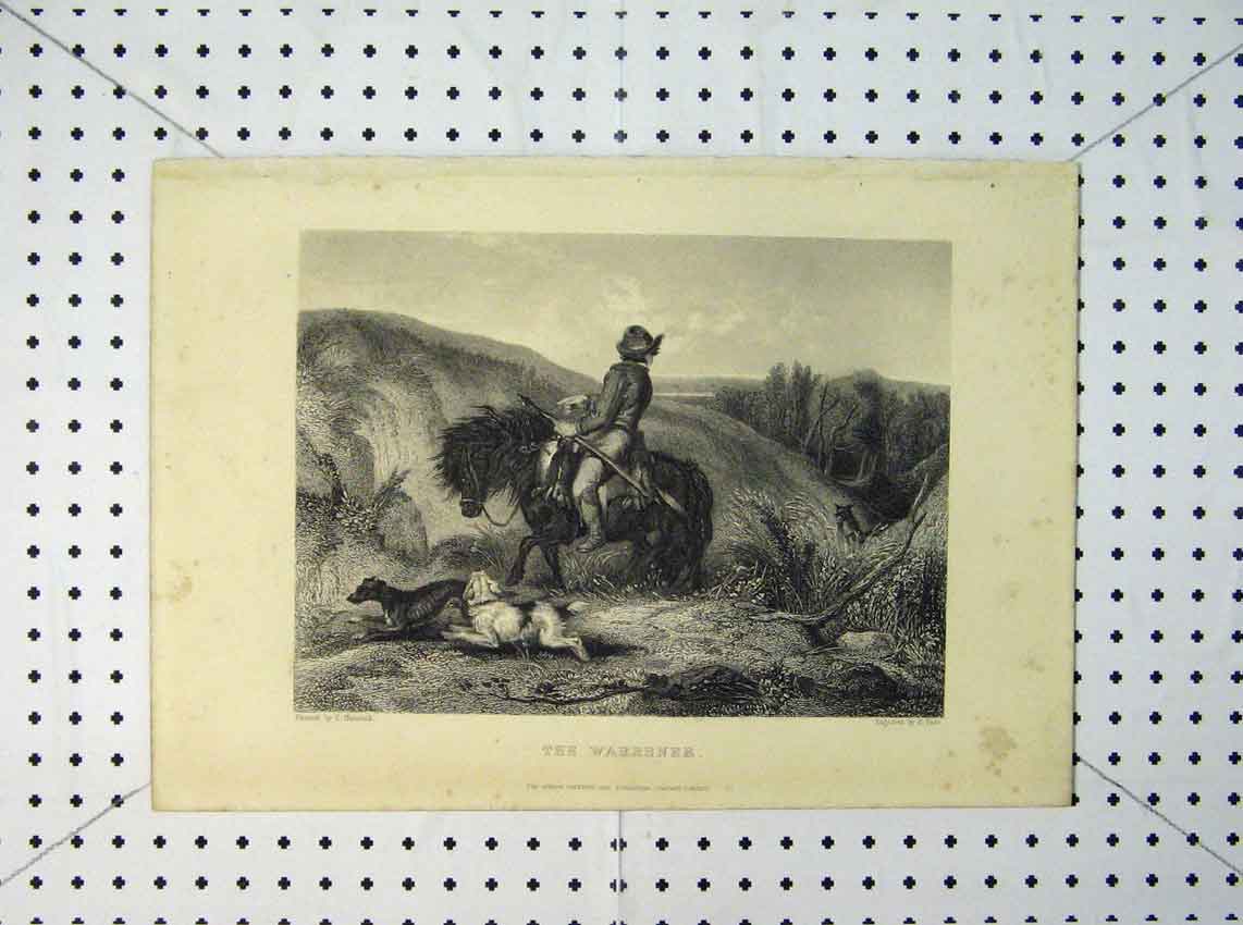 Original Old Antique Print C1865 Horse Warrener Dogs Country Scene Parr Hancock