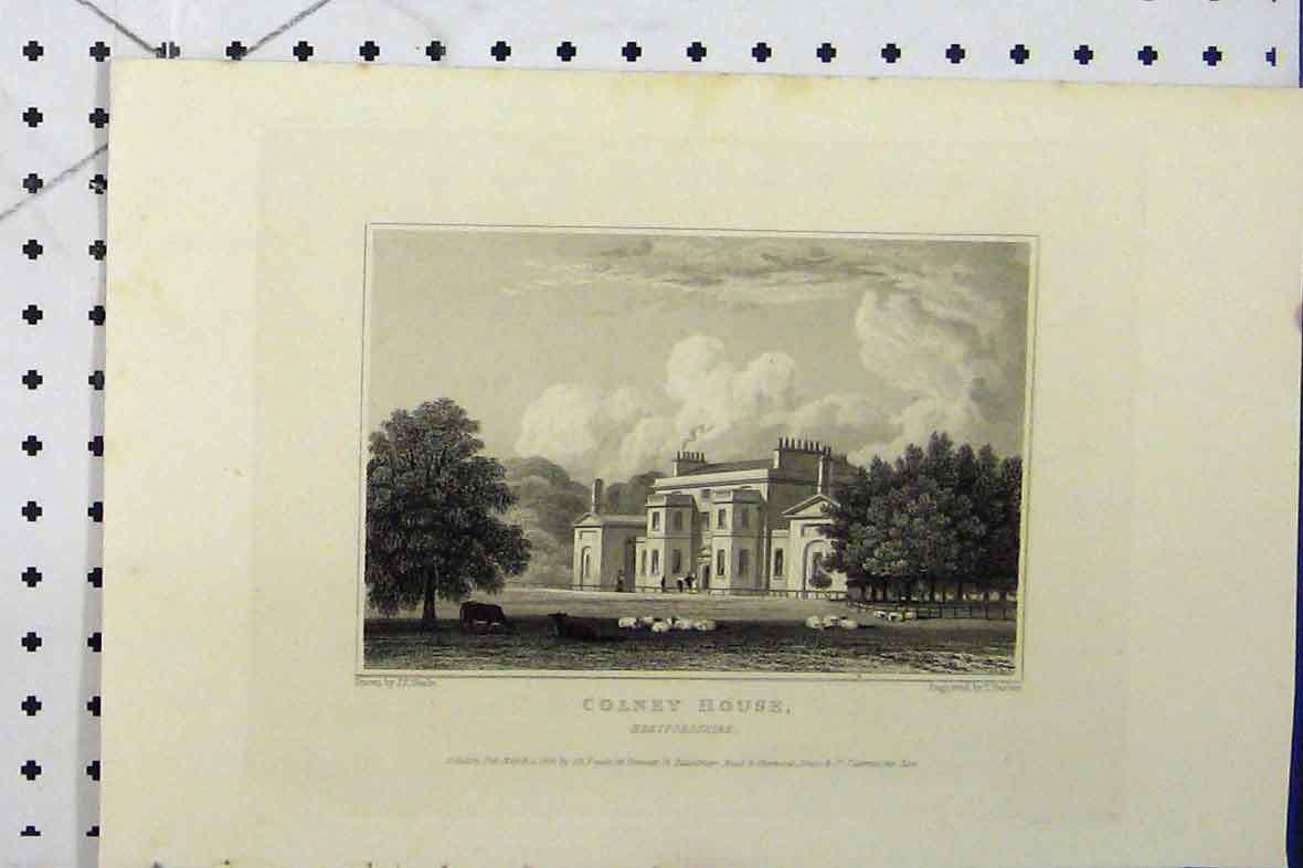 Original Old Antique Print View Colney House Hertfordshire C1869 England Barber