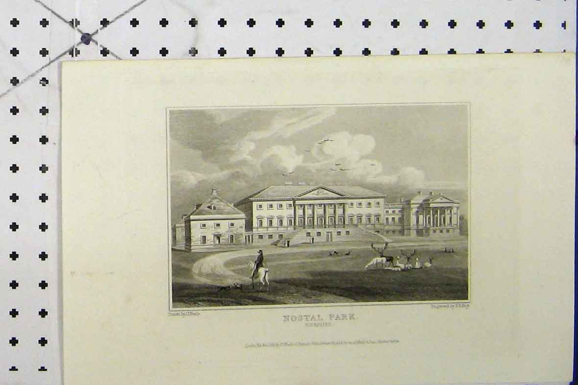 Original Old Antique Print C1869 View Nostal Park Yorkshire England Hay 19th