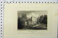 Original Old Antique Print C1869 View Deep-Dene South Front Surrey Barber 19th