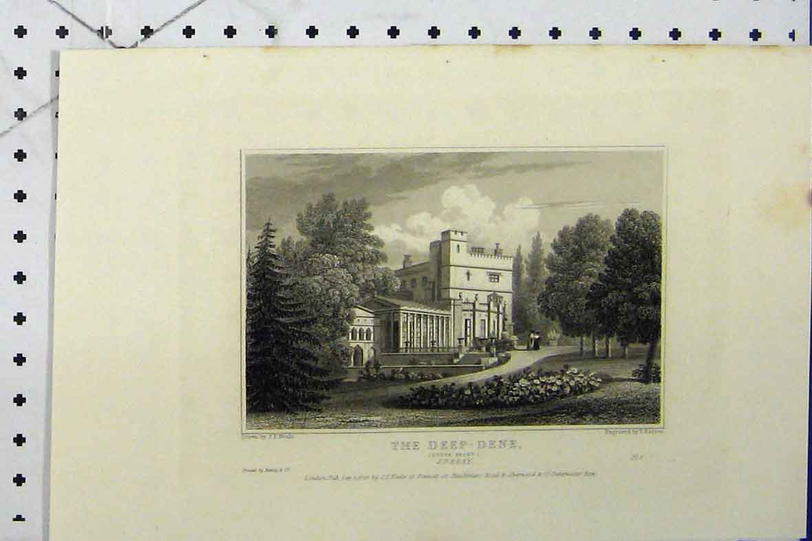 Original Old Antique Print C1869 View Deep-Dene South Front Surrey Barber 19th