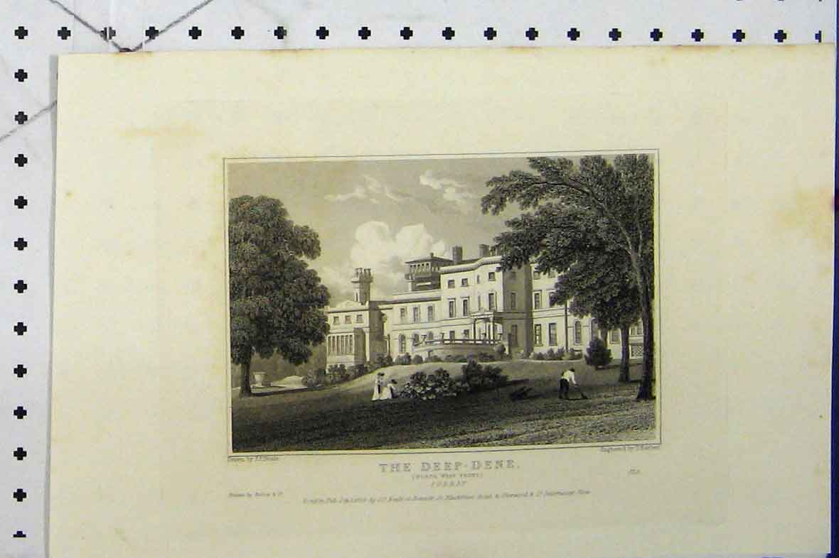 Original Old Antique Print C1869 View Depp-Dene North West Front Surrey Barber