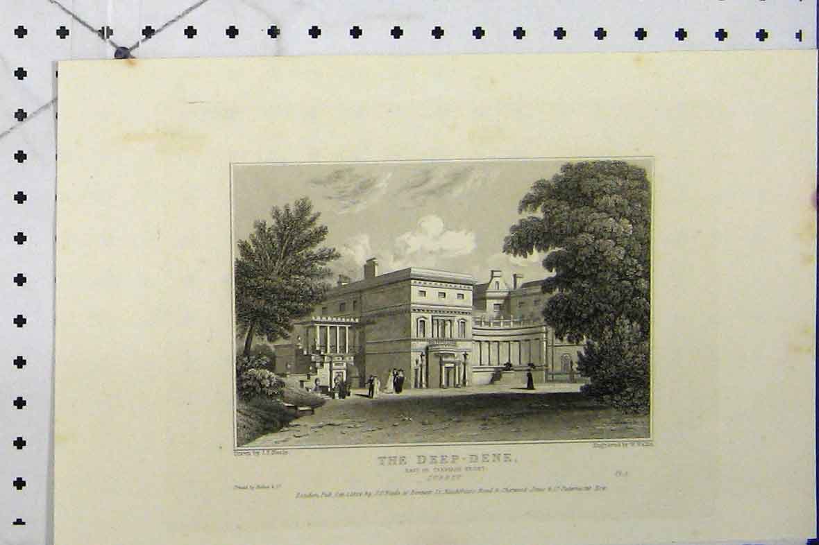 Original Old Antique Print View Deep-Dene Carriage Front Surrey C1869 Wallis