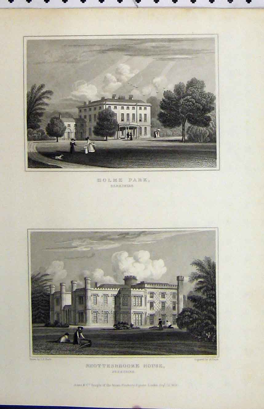 Antique Old Print *0045 1830 View Holme Park Shottesbrooke House Berkshire