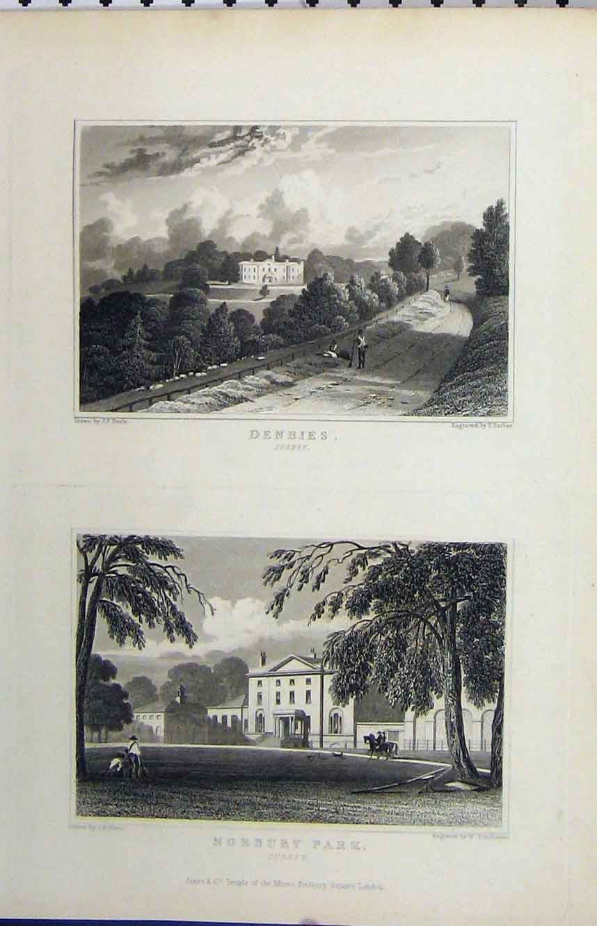 Original Old Antique Print C1832 View Debies Norbury Park Surrey England Barber