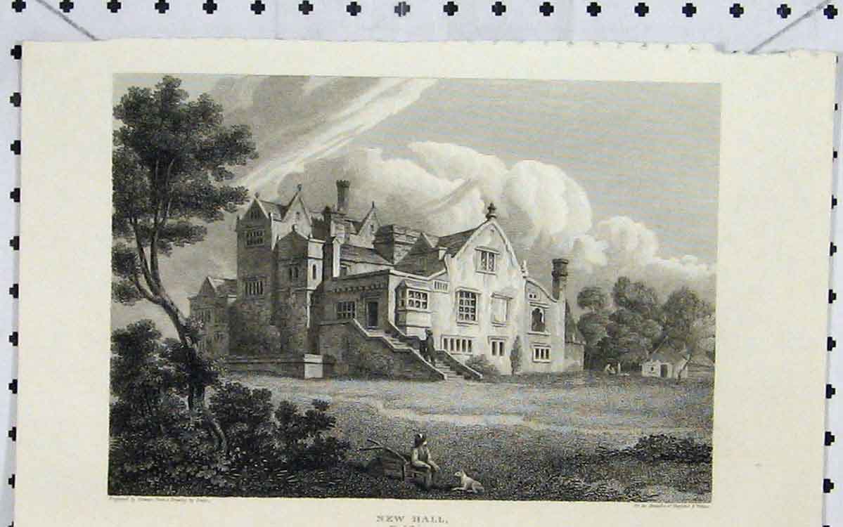 Original Old Antique Print View New Hall Yorkshire Country Scene 19th