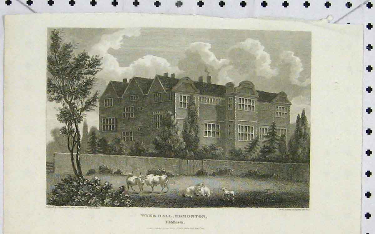 Original Old Antique Print 1819 View Wyer Hall Edmonton Middlesex England 19th