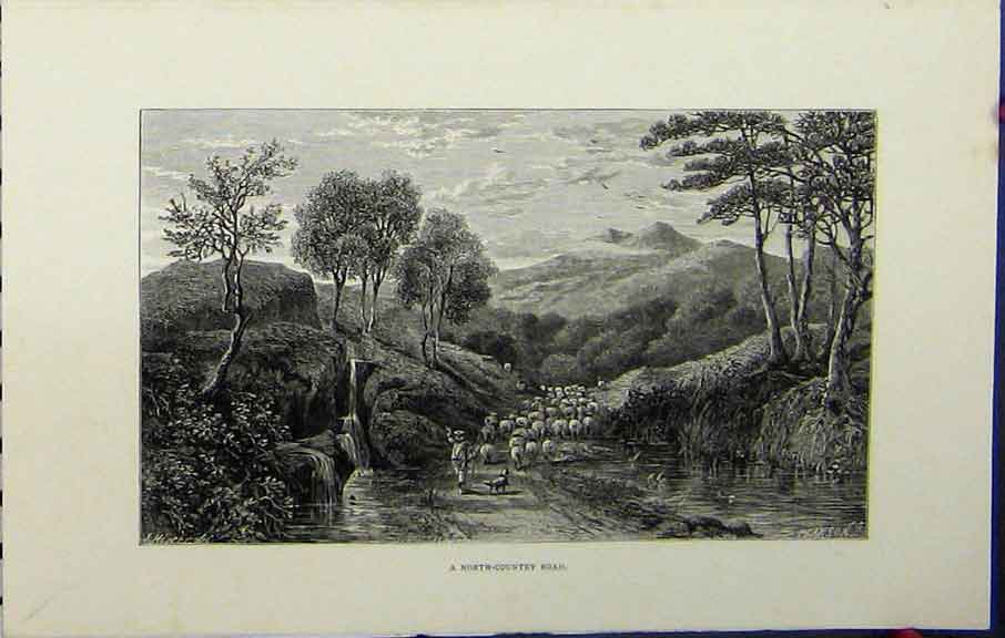 Old Antique Print Hissey England C1879 View North-Country Road Sheep Dog 19th