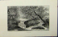 Original Old Antique Print River Burn Water Trees Country Hissey England C1879