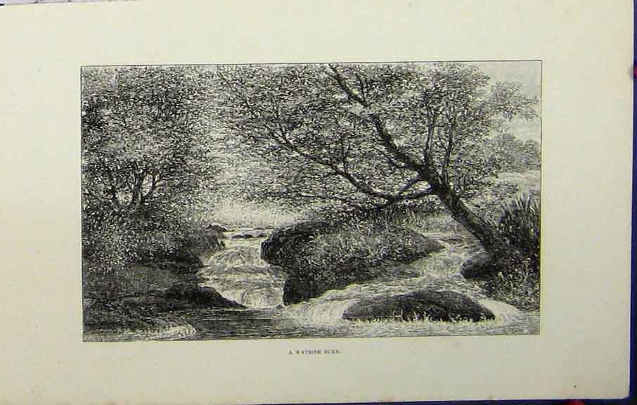 Original Old Antique Print River Burn Water Trees Country Hissey England C1879