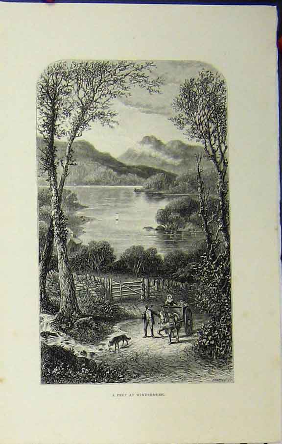 Original Old Antique Print C1879 View Lake Widermere Hissey Drive England Horse
