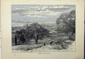 Original Old Antique Print View Richmond Easby Cows Country Scene