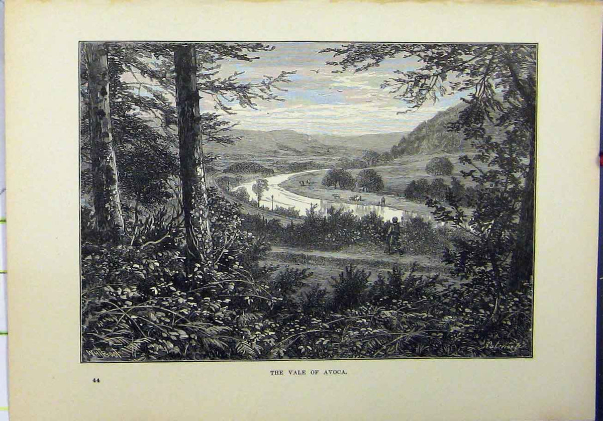Original Old Antique Print 1898 View Vale Avoca Country Scene River Trees 19th