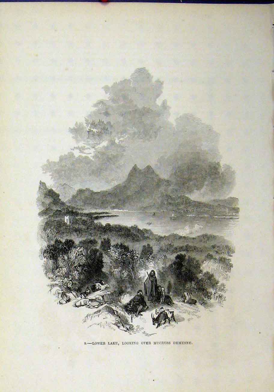 Original Old Antique Print View Lower Lake Mucruss Demesne Country Mountains