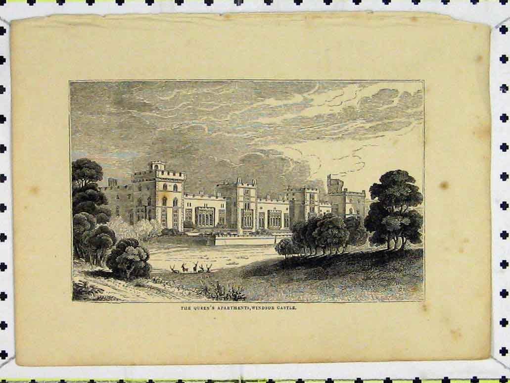 Original Old Antique Print View Queen'S Apartments Windsor Castle Royal Family