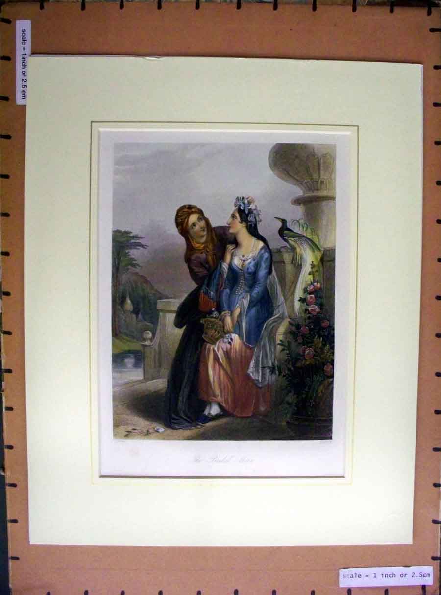 Old Antique Print Hand Coloured C1880 Beautiful Ladies Women Bride Dress 19th