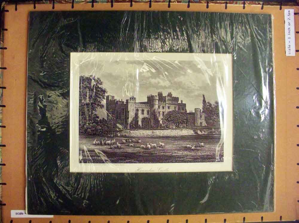 Original Old Antique Print C1880 Exterior Haww1Den Castle Architecture Sheep