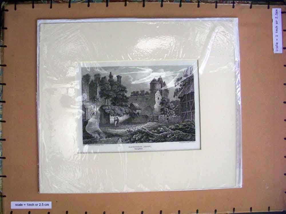 Original Old Antique Print C1880 View Ruins Haughmond Abbey Shropshire England