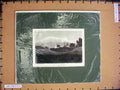 Old Antique Print C1880 View Part Shrewsbury Salop England Church Trees 19th