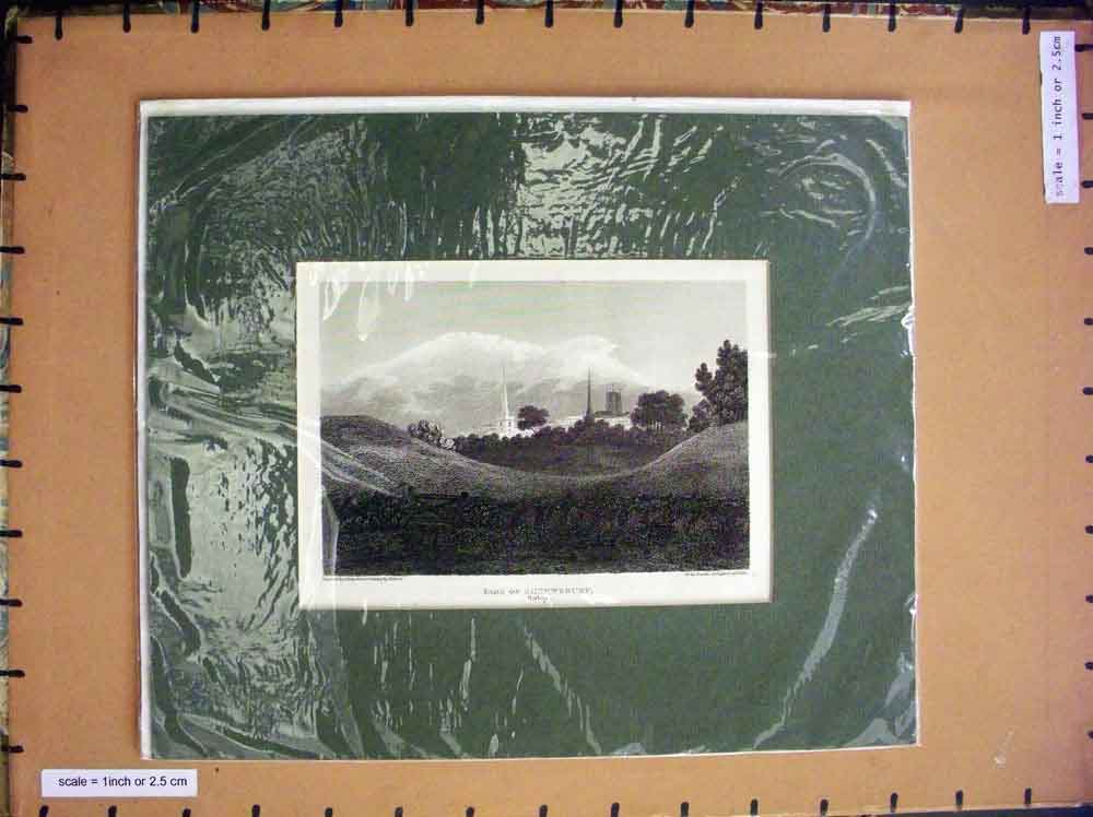 Old Antique Print C1880 View Part Shrewsbury Salop England Church Trees 19th