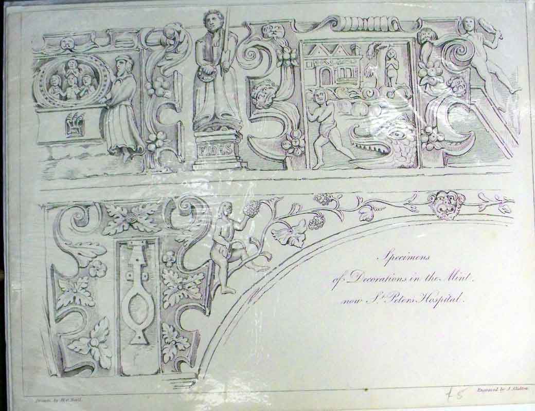 Old Antique Print Encyclopaedia Specimens Decorations Mint Peter Hospital