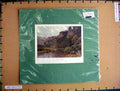 Original Old Antique Print C1910 Colour View Cwell Rocks River Cliffs 20th