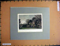 Original Old Antique Print Hand Coloured C1880 View Mossgiel Country Trees Cows
