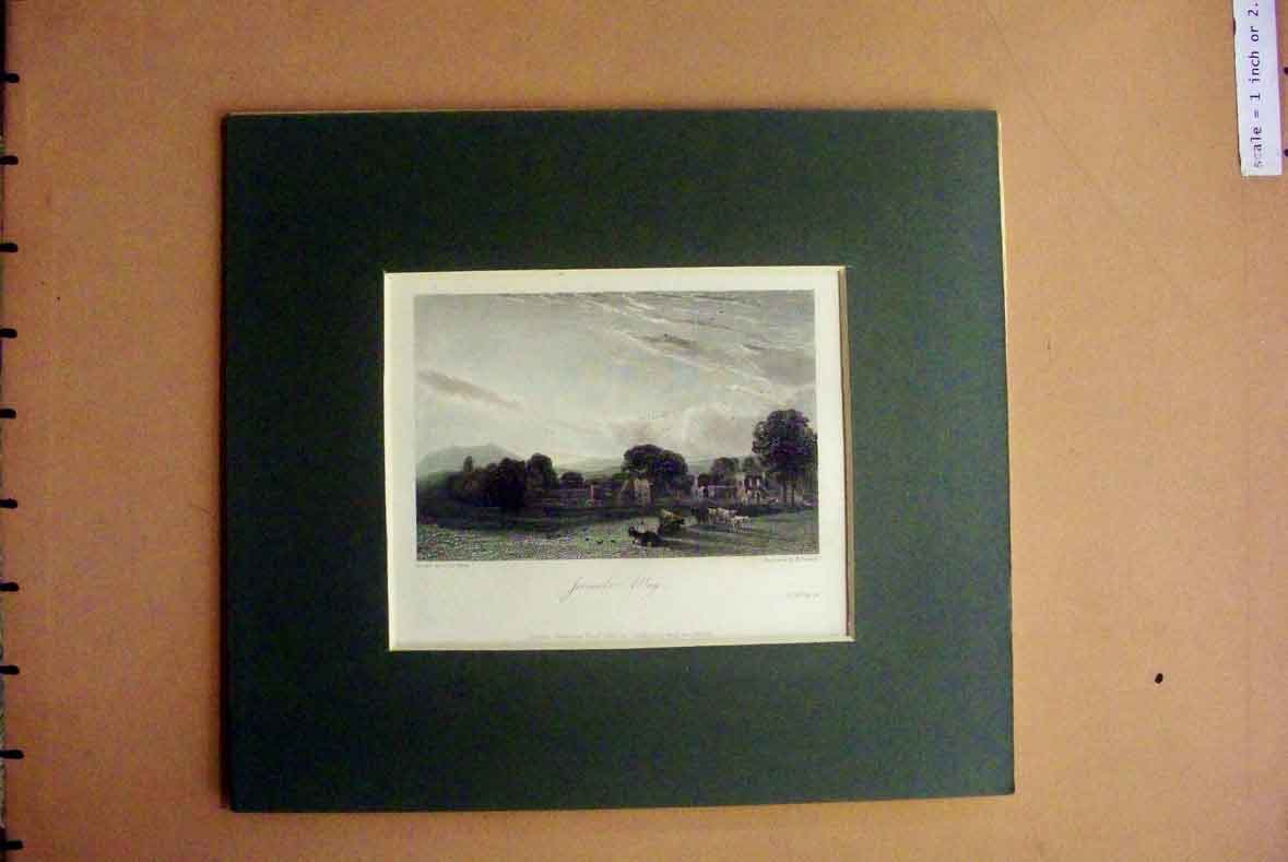 Original Old Antique Print Hand Coloured C1880 View Forvaulx Abbey Church Trees
