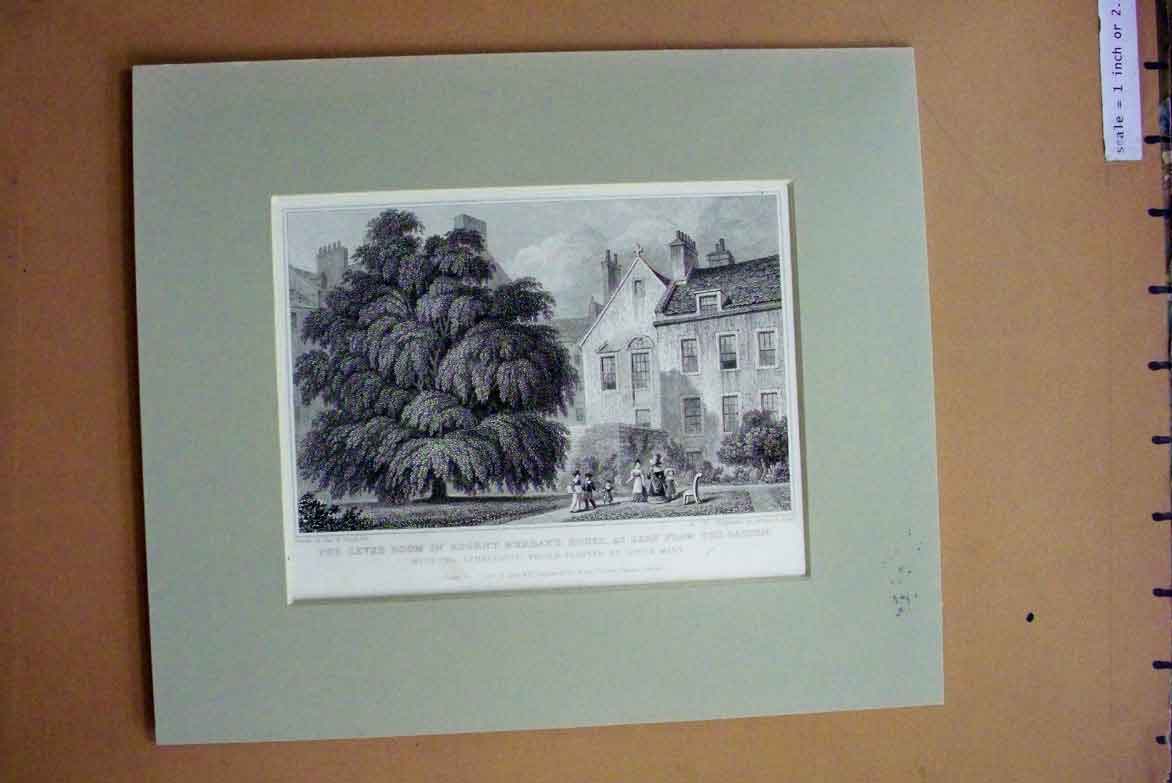Old Antique Print C1880 Levee Room Regent Murray House Garden Tree Mary 19th