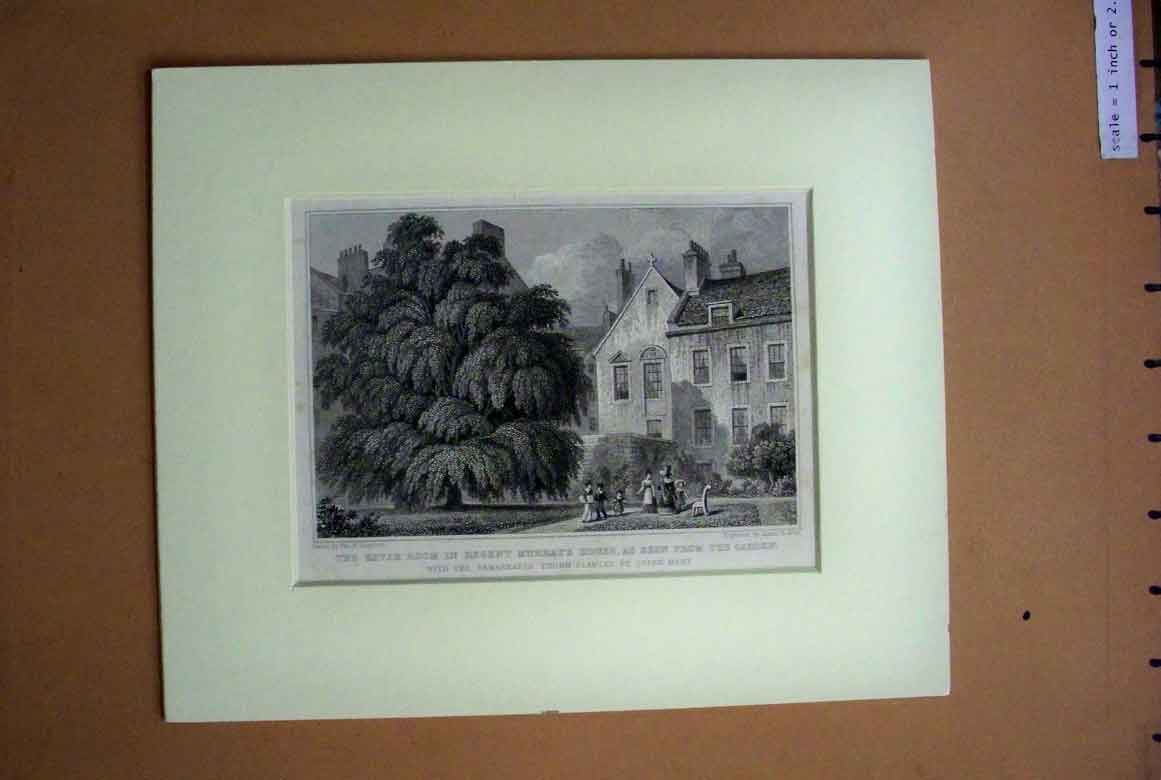Original Old Antique Print C1880 Levee Room Regent Murray House Garden Tree