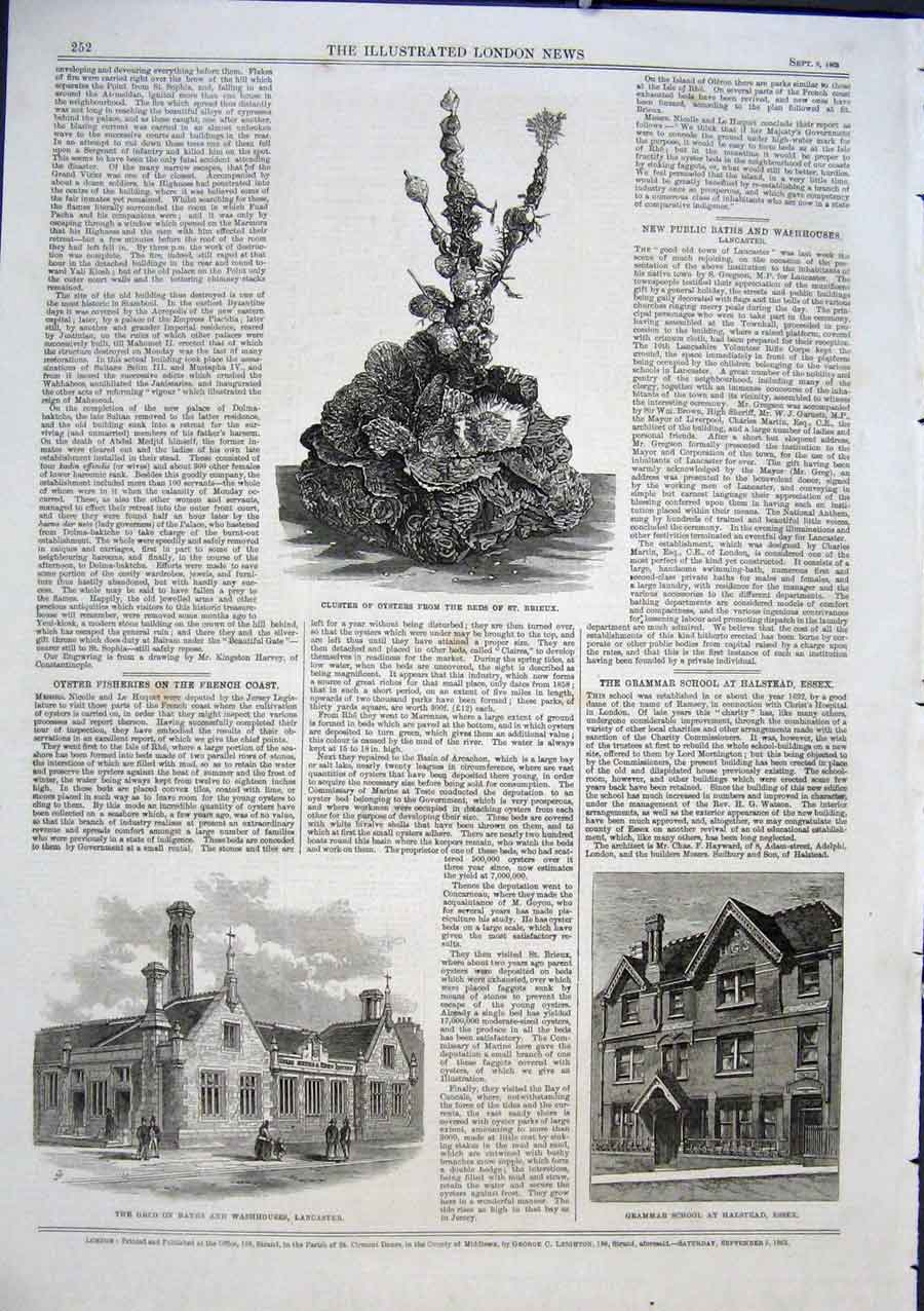 Original Old Antique Print Oysters From St Brieux School Halsrtead Essex 1863