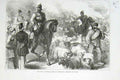 Original Old Antique Print Prussian Guard Herding Cattle Versailles 1870 19th