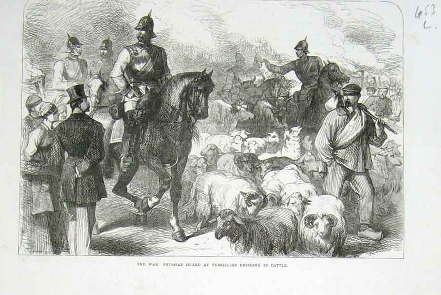 Original Old Antique Print Prussian Guard Herding Cattle Versailles 1870 19th