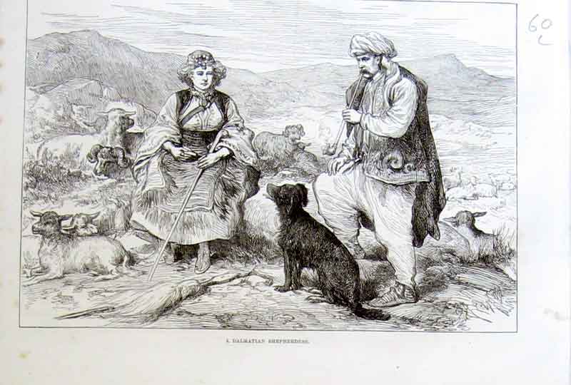 Original Old Antique Print Dalmation Shepherdess 1875 Fine Art 19th