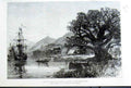 Original Old Antique Print West African Squadron At Bomma On River Congo 1875