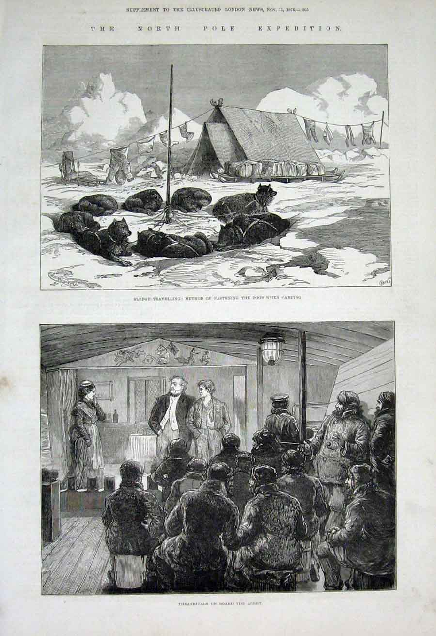 Original Old Antique Print North Pole Exped Dogs At Camp 1876 19th