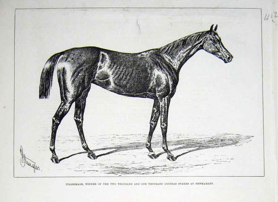 Original Old Antique Print Pilgrimage Newmarket Guineas Stakes Racing 1878 19th